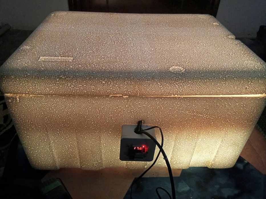 Инкубатор сатылады