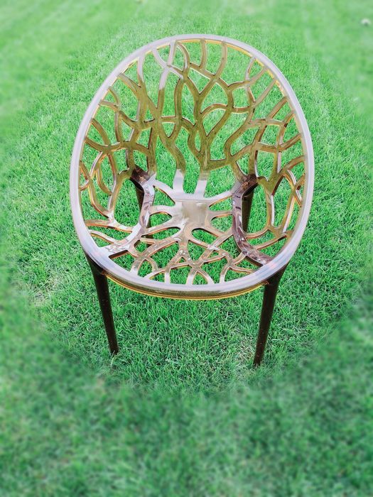 Scaune Crystal curte