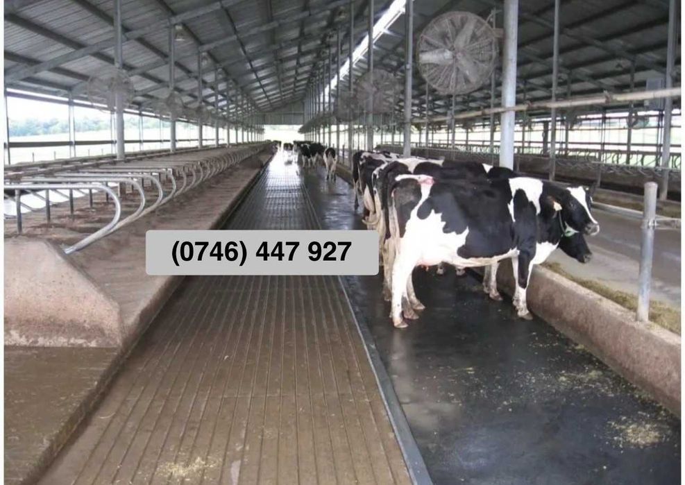 Banda de cauciuc pentru animale, boxe de cai la cel mai bun PRET