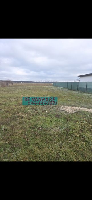 Teren intravilan, Gepiu colonie