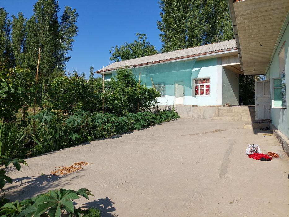 Ховли сотилади тошкент влояати яанги йул туманида