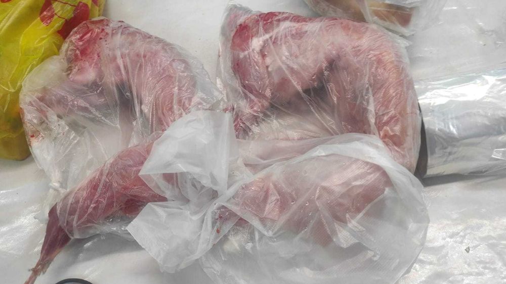 продаются гуси, утки, индюки, куры, кролики