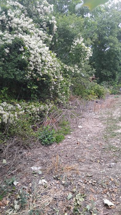 Продава парцел в с.Големо село общ.Бобов дол