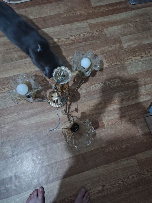 Люстра трехрожковая + светильник 40ват