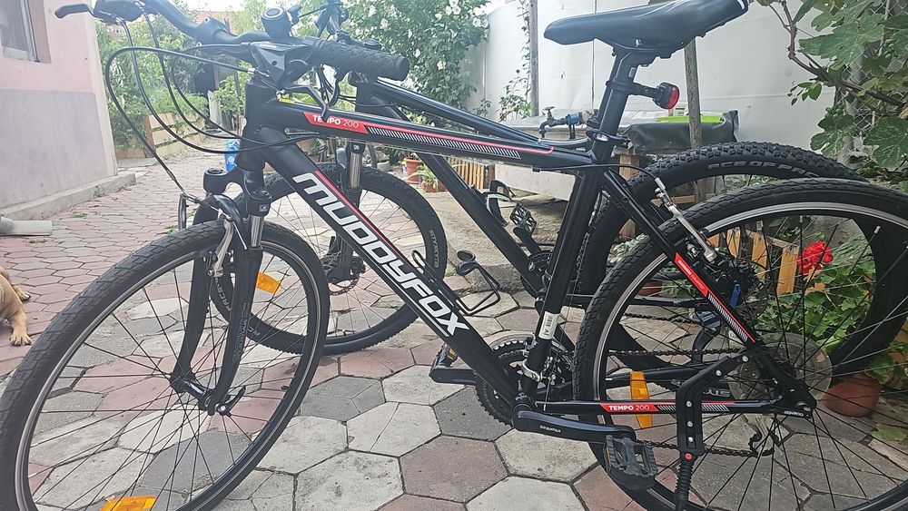 Biciclete de vînzare diferite modele specific bici sînt noi nouțè