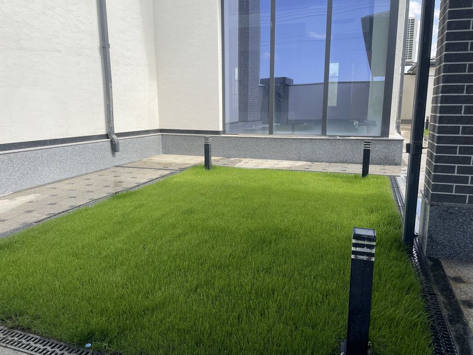 Газон,автополив,полив