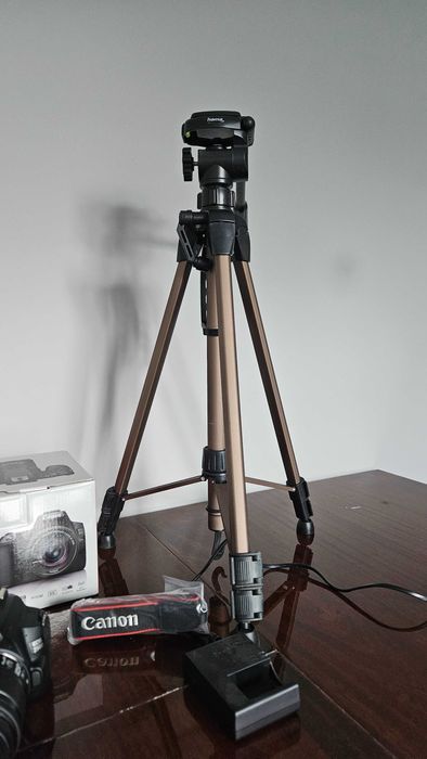 Canon EOS 250D + 18-55mm IS STM + 50mm f/1.8 STM | С оставаща гаранция