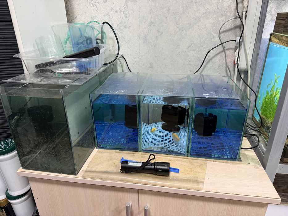 Продам аквариумы