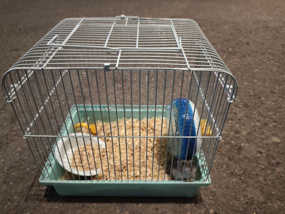 Хомяк добрый,милый