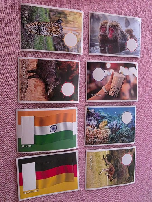 Cartonase Mega Expeditie in Jurul Lumii 3