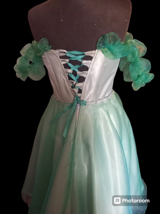 Rochita tafta și organza