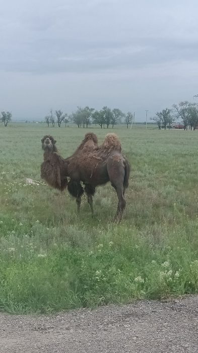 Дом Баня Бассейн Рыбалка