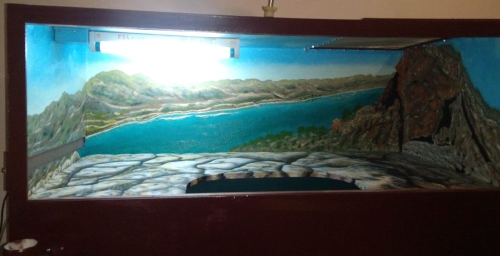 Террариум с пейзажем