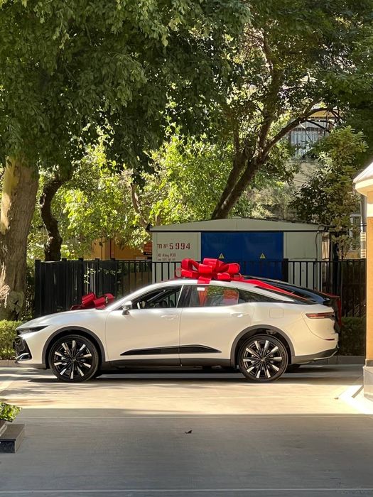 Bantik ,bant,Akssesuar dlya mashin. Любой цвет бантика, Звоните