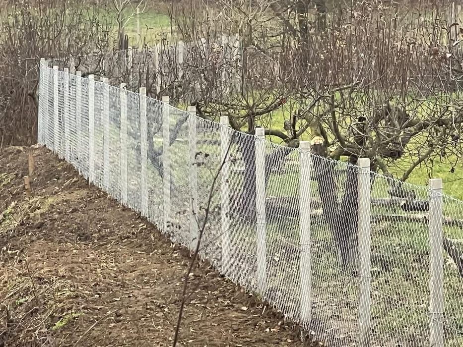 Stalpi/ Spalieri import Italia