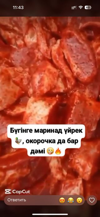 Шашлык маринад утка, окорочка