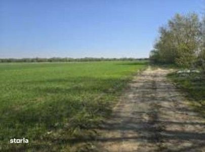 Casa si teren Darasti, ID: R3313254