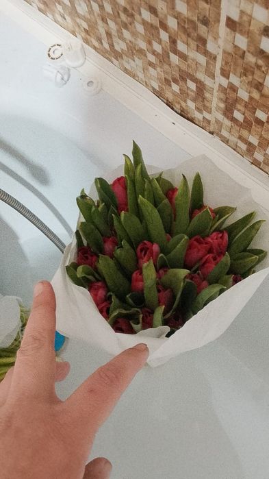 Тюльпаны к 8-му Марта