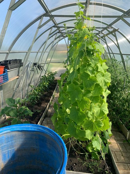 Продам дачу с/т Локомотив.