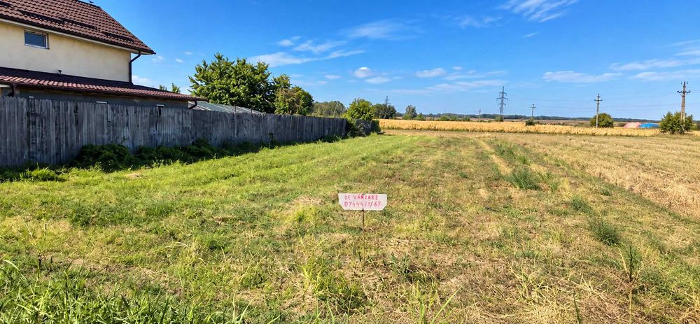 Teren intravilan 1.060 mp | Curtișoara (Olt) | Zonă liniștită, utilități