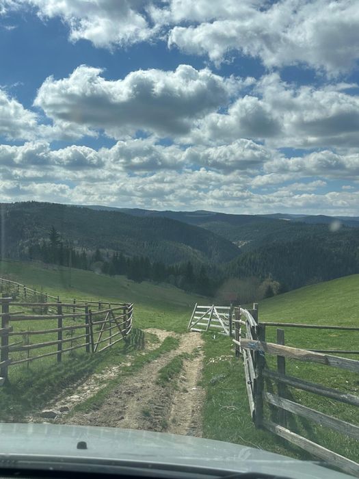 Teren la munte,Maguri judetul Cluj