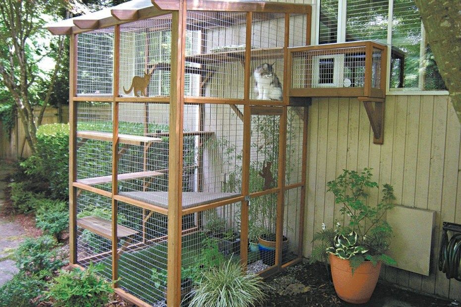Вольеры для кошек  на заказ