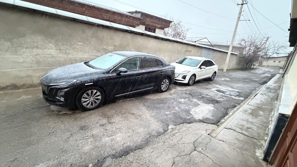 Hongqi e qm5 500 oq 450 qora taligi