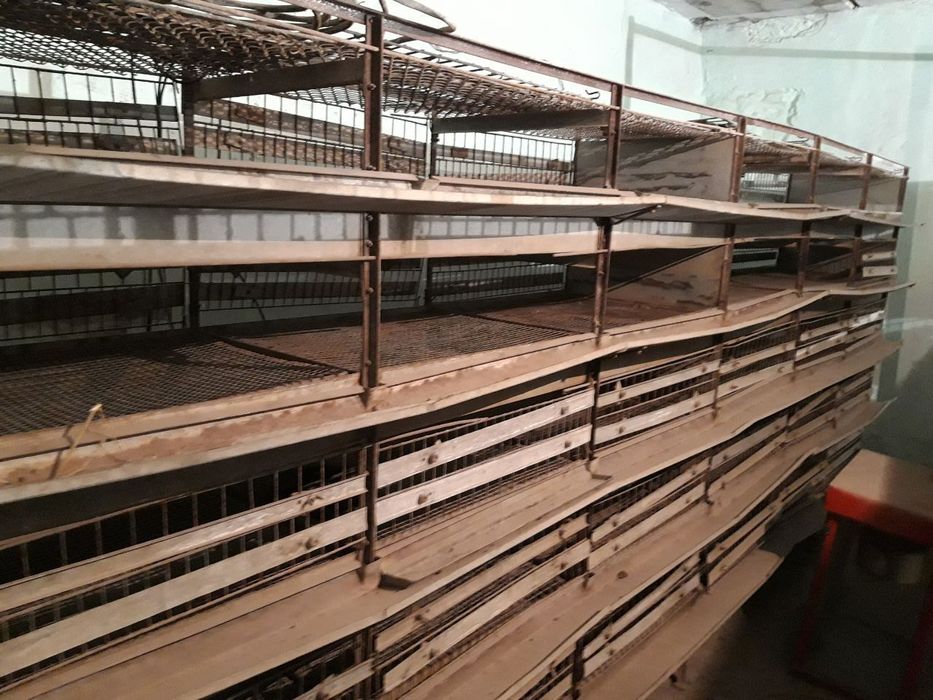 Inkubator sotiladi kafolati bilan.   Egg box 1000