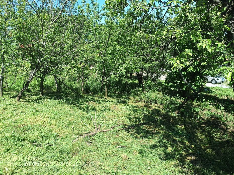 Имот в в.Паволче 600м2 в регулация до главен път ,цена 42000€