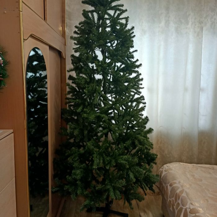 Продам большую  ёлку.