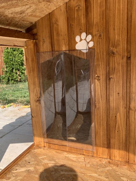 Cusca caine izolata premium