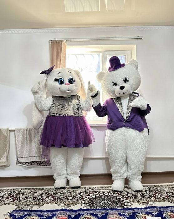 костюм аниматоры