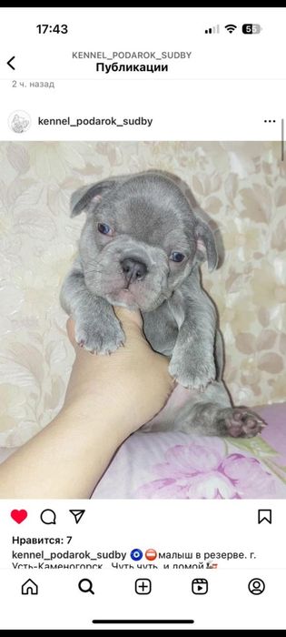 Эксклюзивные французские булочки