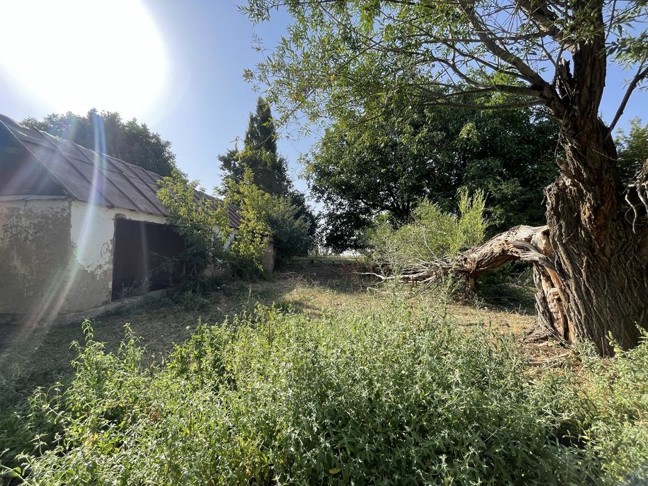 Участок 70 сотка