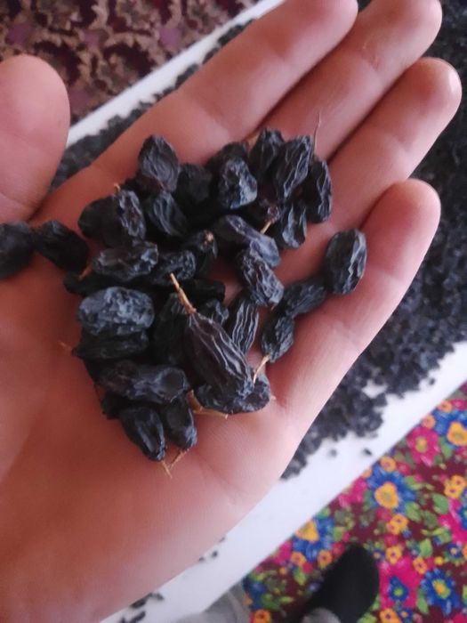 Bogchilik .. uzumchilik  ekinlar