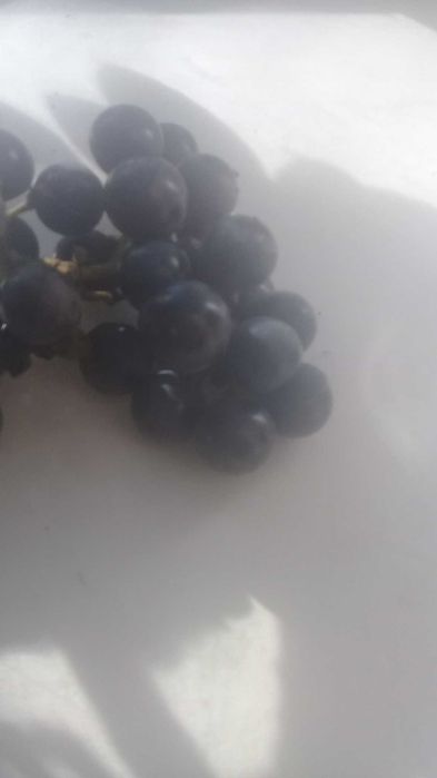 Продукты питания