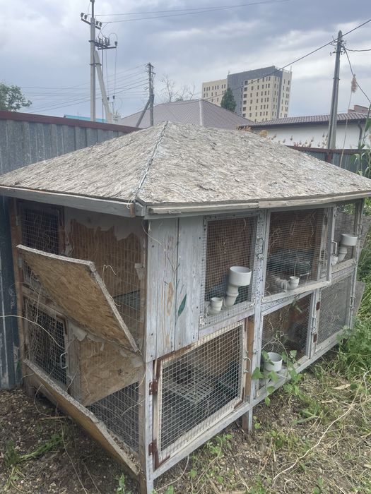 Продам крольчатник