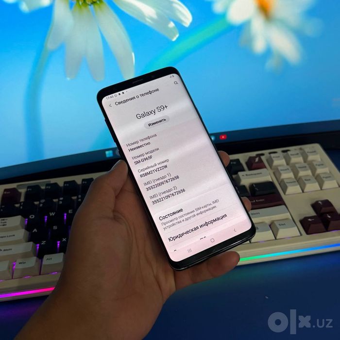 Samsung Galaxy S9+ tinnigi