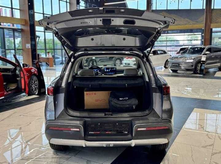 Byd Yuan Up Smart naxt va halol nasyaga