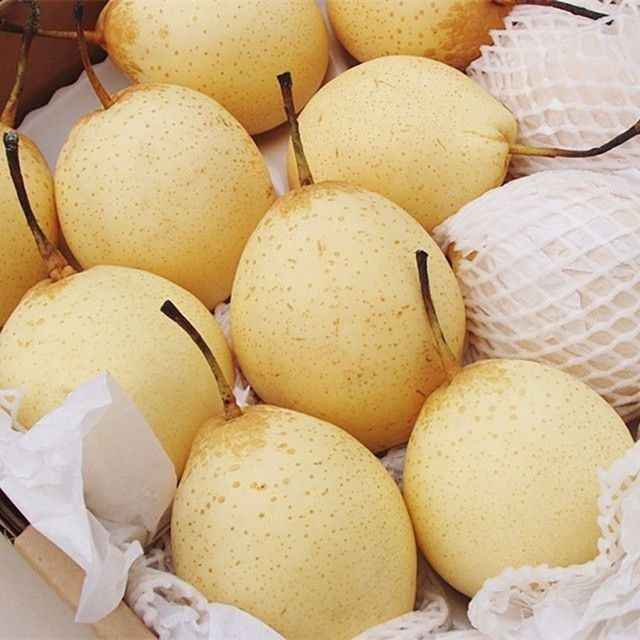 Нок кучатлар бор 100 % ишонжли