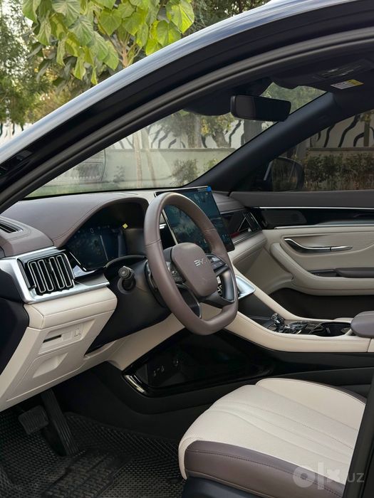 Byd champion smart 605km