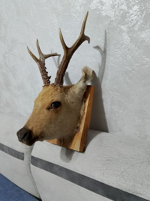 Продам в хорошем состояний