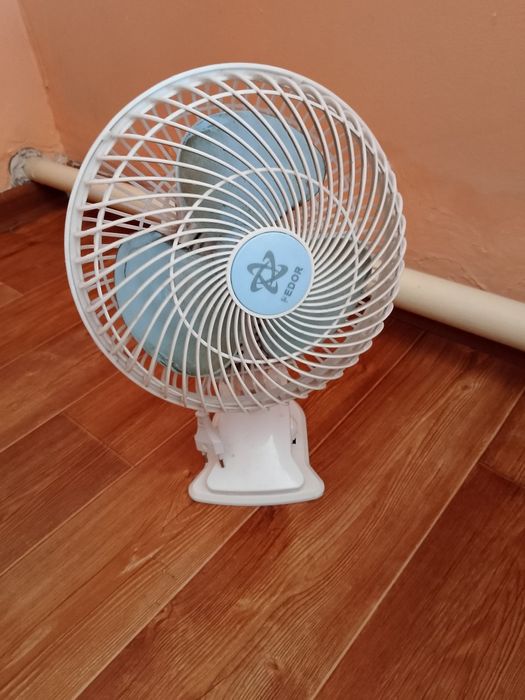 пакет вещей за фрукты