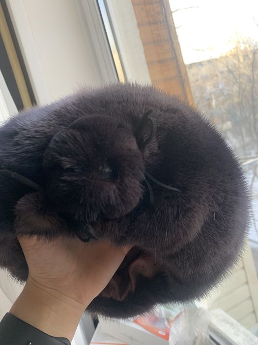 Продаю шапку Норка