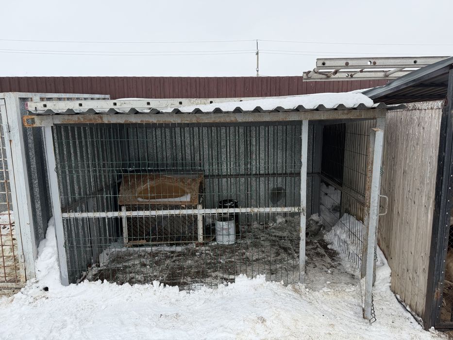 Продам вольеры для собак