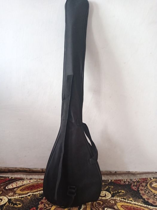 Домбыра чехолымен