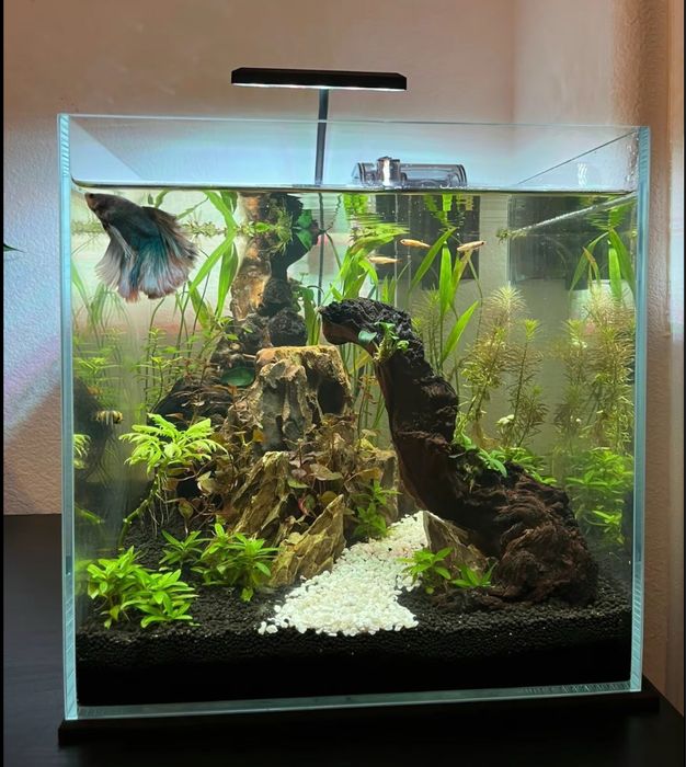 Сборка аквариумов