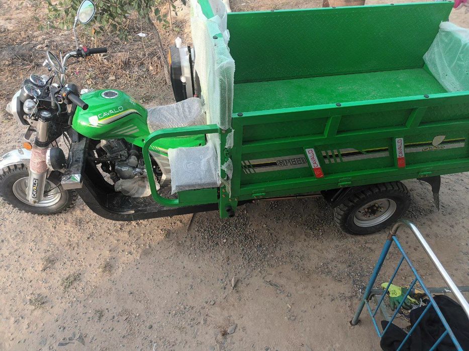 Cavalo yangi versiya