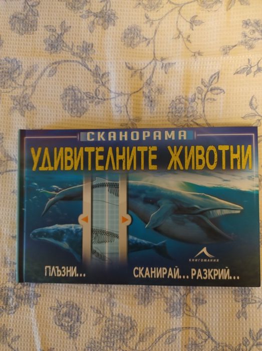 Детски енциклопедии с твърди корици