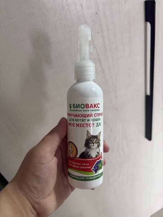 Продам лоток для